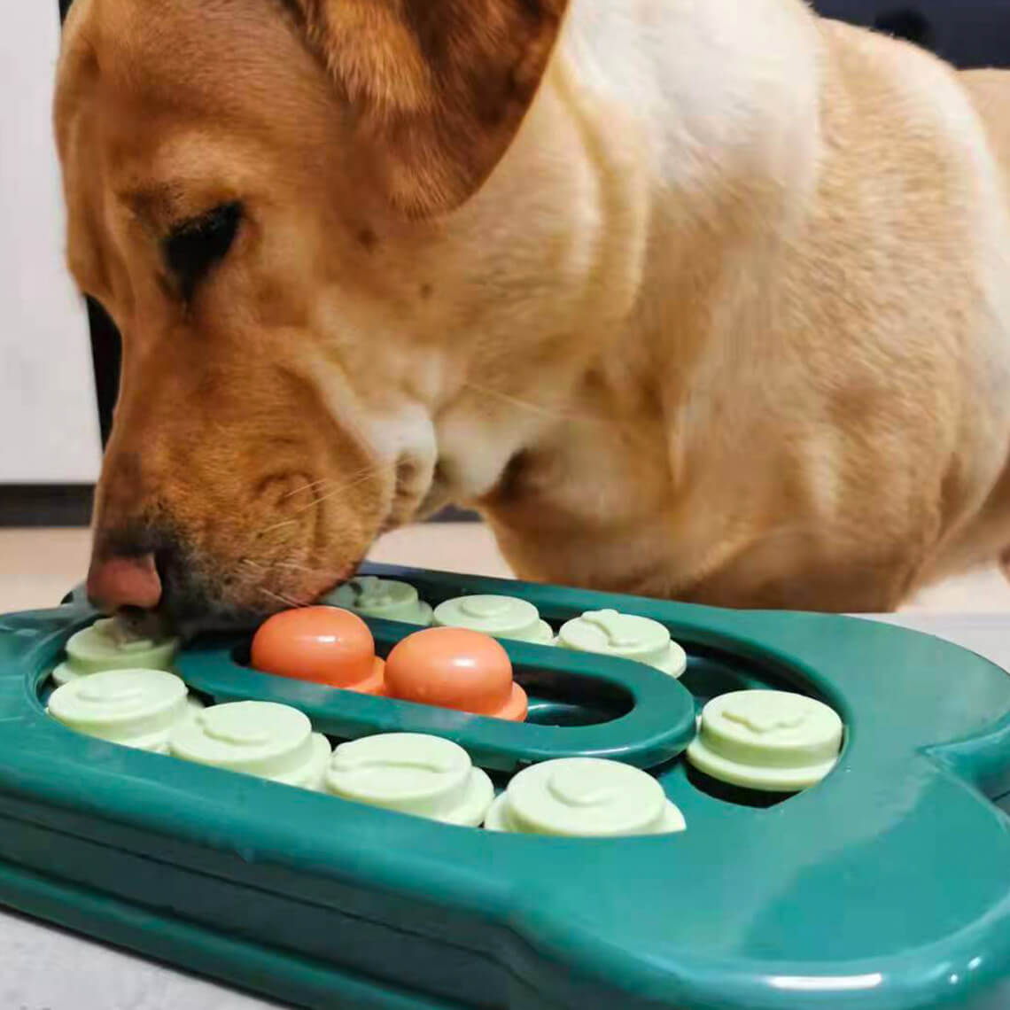 Bandeja de alimentación deslizante