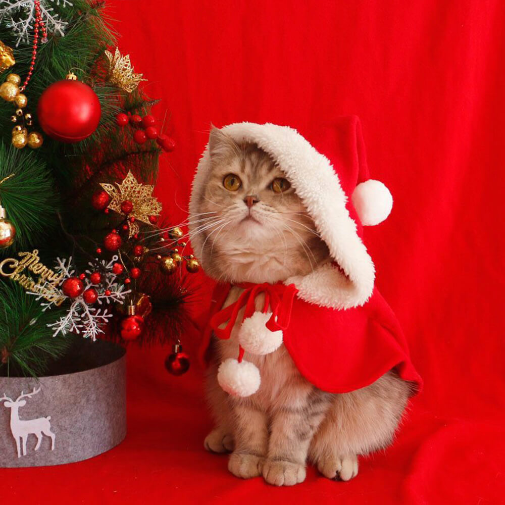Navidad Chic Poncho de chal con capucha para perros y gatos con capucha