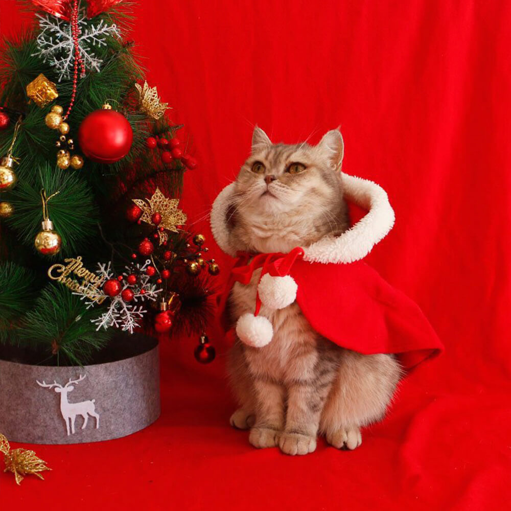Navidad Chic Poncho de chal con capucha para perros y gatos con capucha