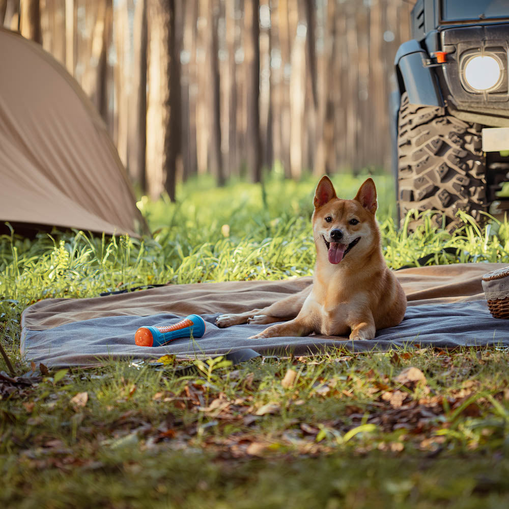 Classique rétro – Housse de siège arrière étanche à double usage pour camping et voiture