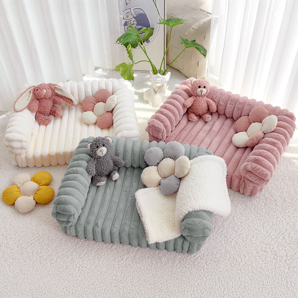 Cama ortopédica de confort de crema esponjosa y sofá de gato