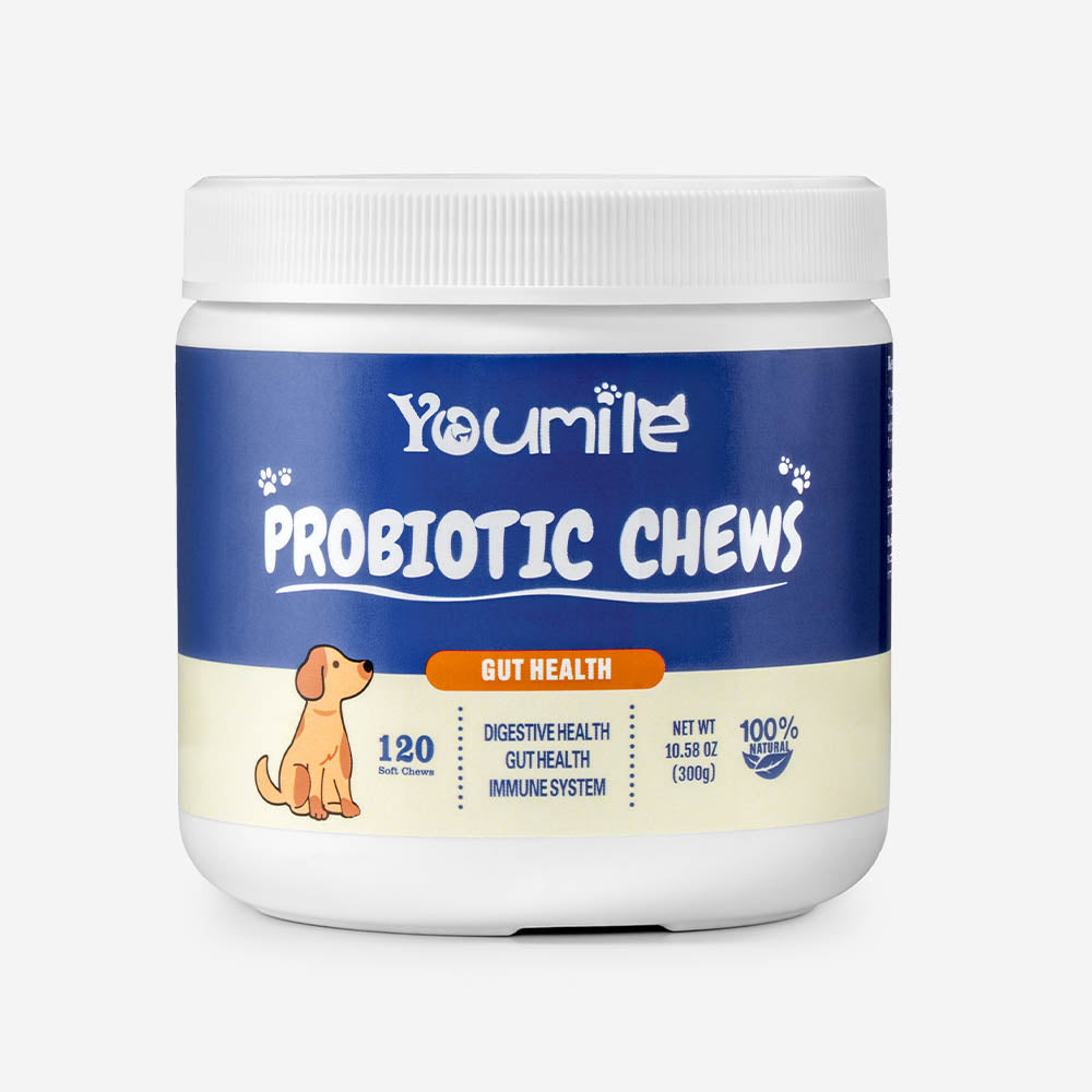 Probiotic Soft Chews for Dogs (120 Count) | Digestive Health & Immune Boost