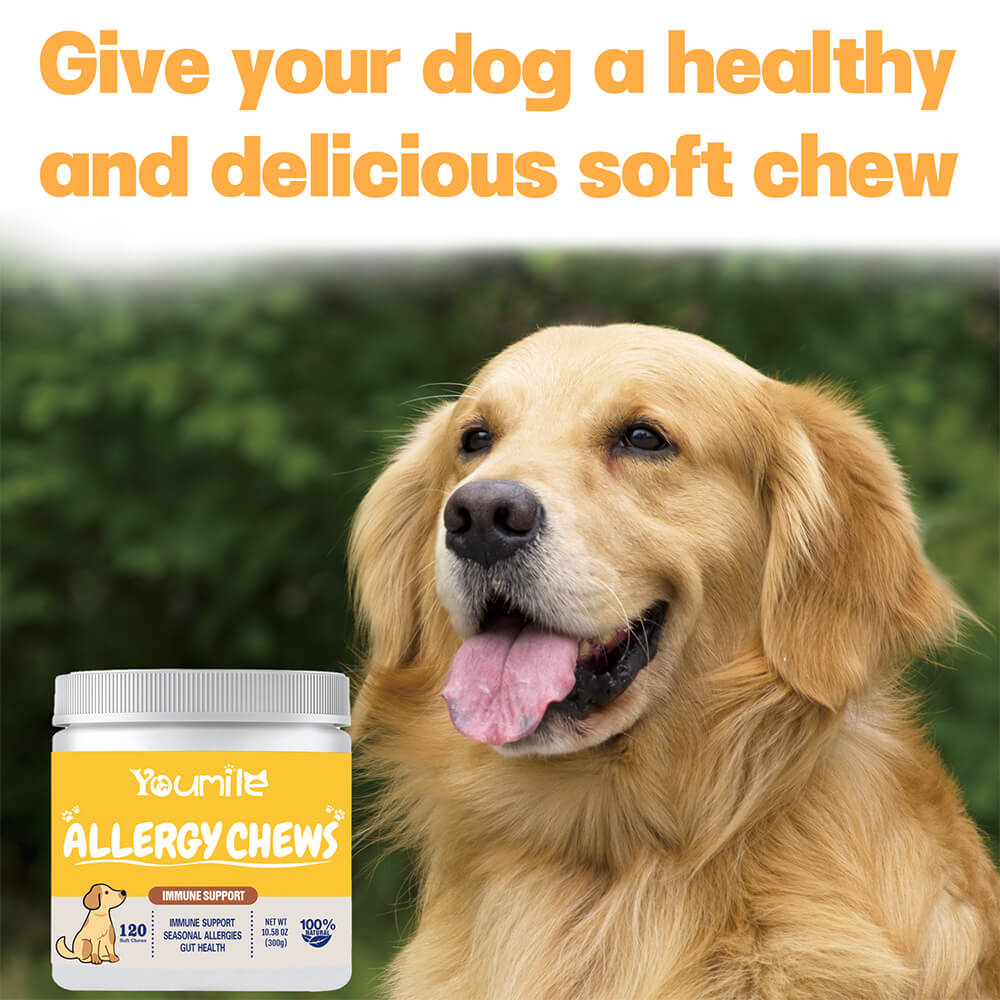 Dog Allergy Relief Chews for Itchy Skin, Seasonal Allergies & Immune Support - 120 Count