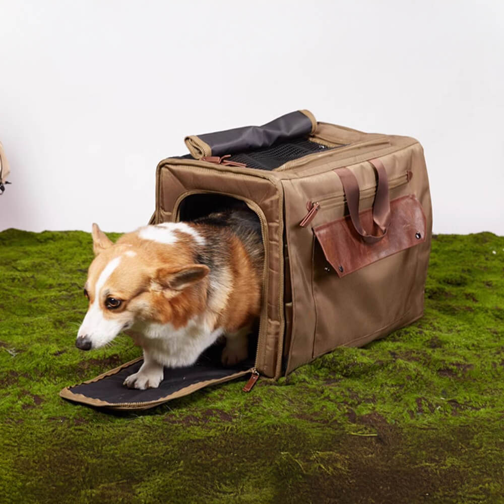 Mochila de mascotas de viaje impermeable a impermeable de Mesh de gran espacio transpirable