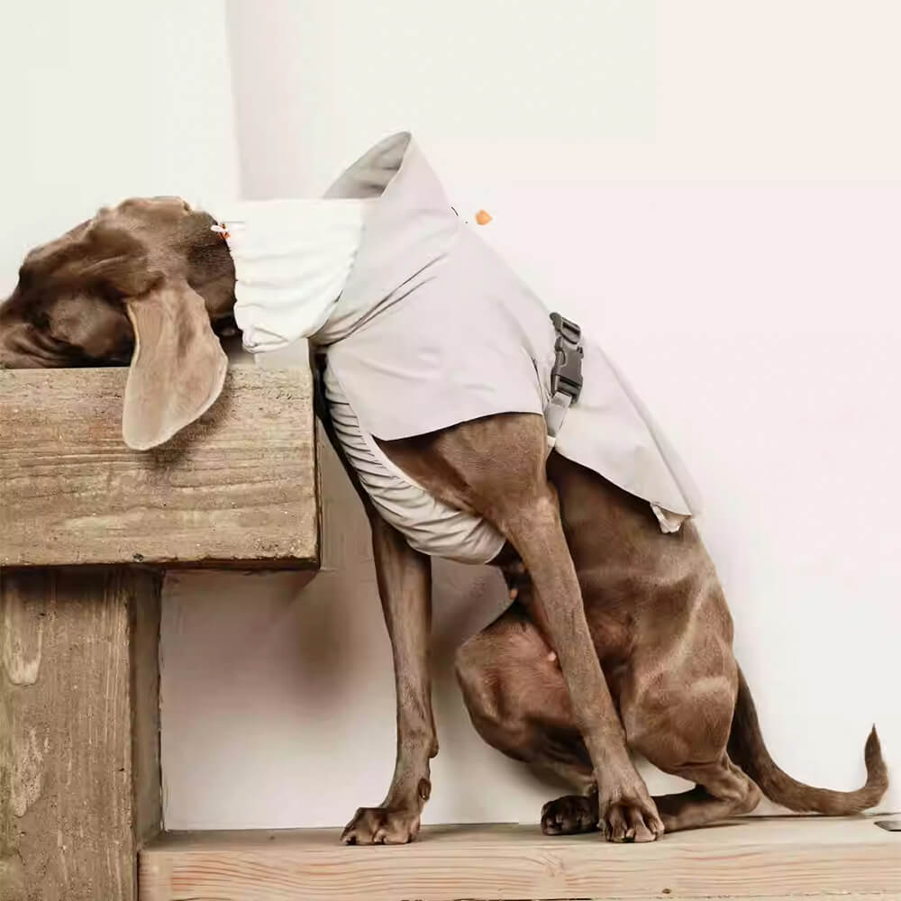 Chaqueta para perros de cuello de tortuga ligero impermeable al aire libre