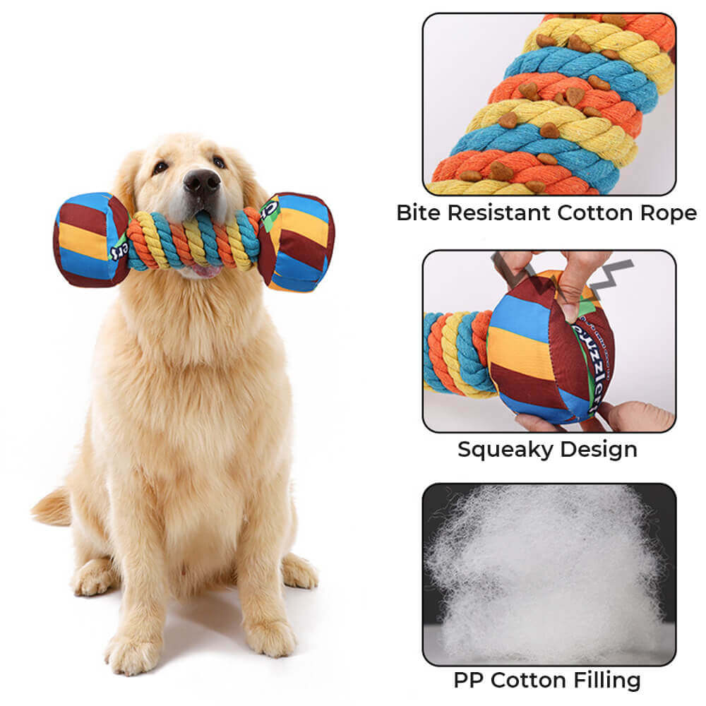 Regenbogen-Hantel, interaktives, quietschendes, langlebiges Seil-Hundespielzeug