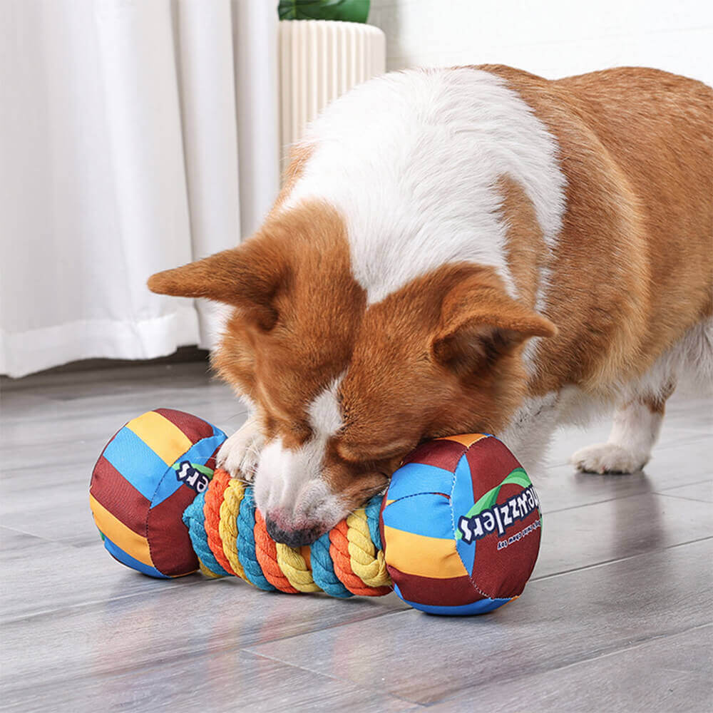 Regenbogen-Hantel, interaktives, quietschendes, langlebiges Seil-Hundespielzeug