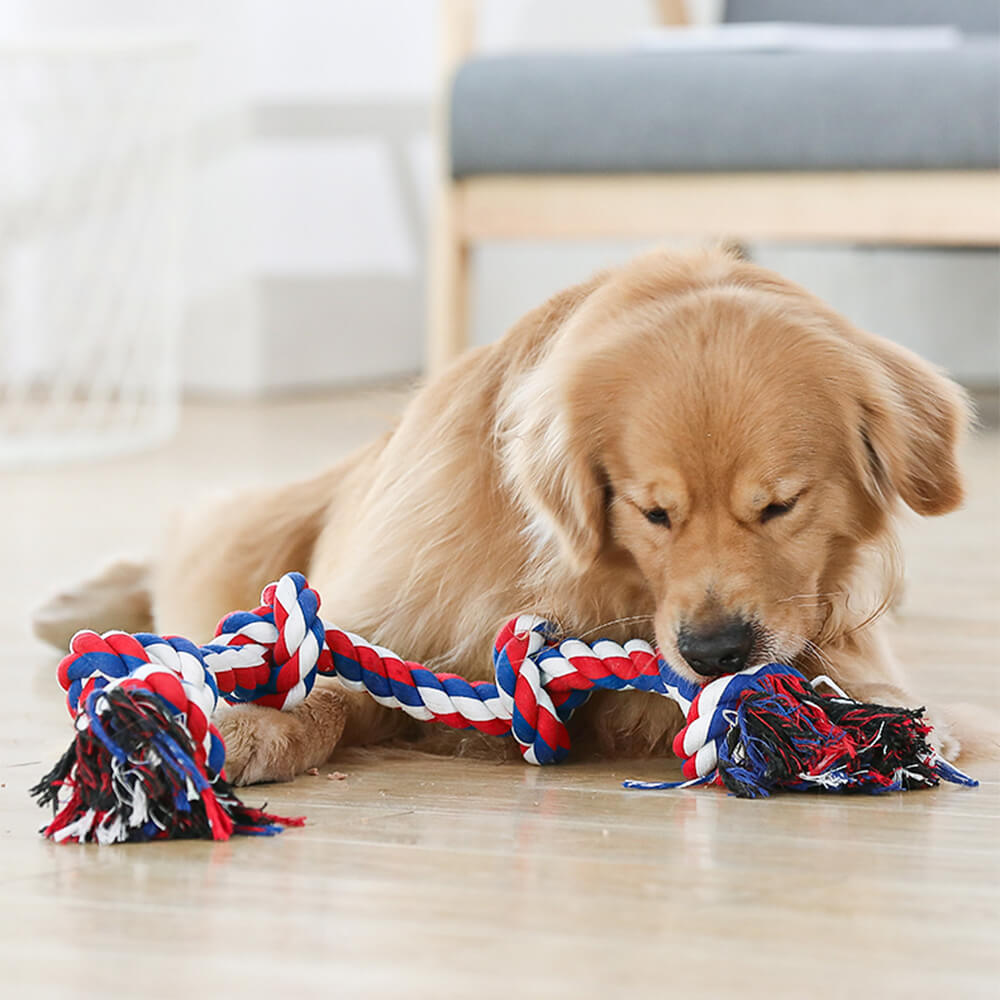 Toy de perro de nudo de cuerda Tug Interactive Toy