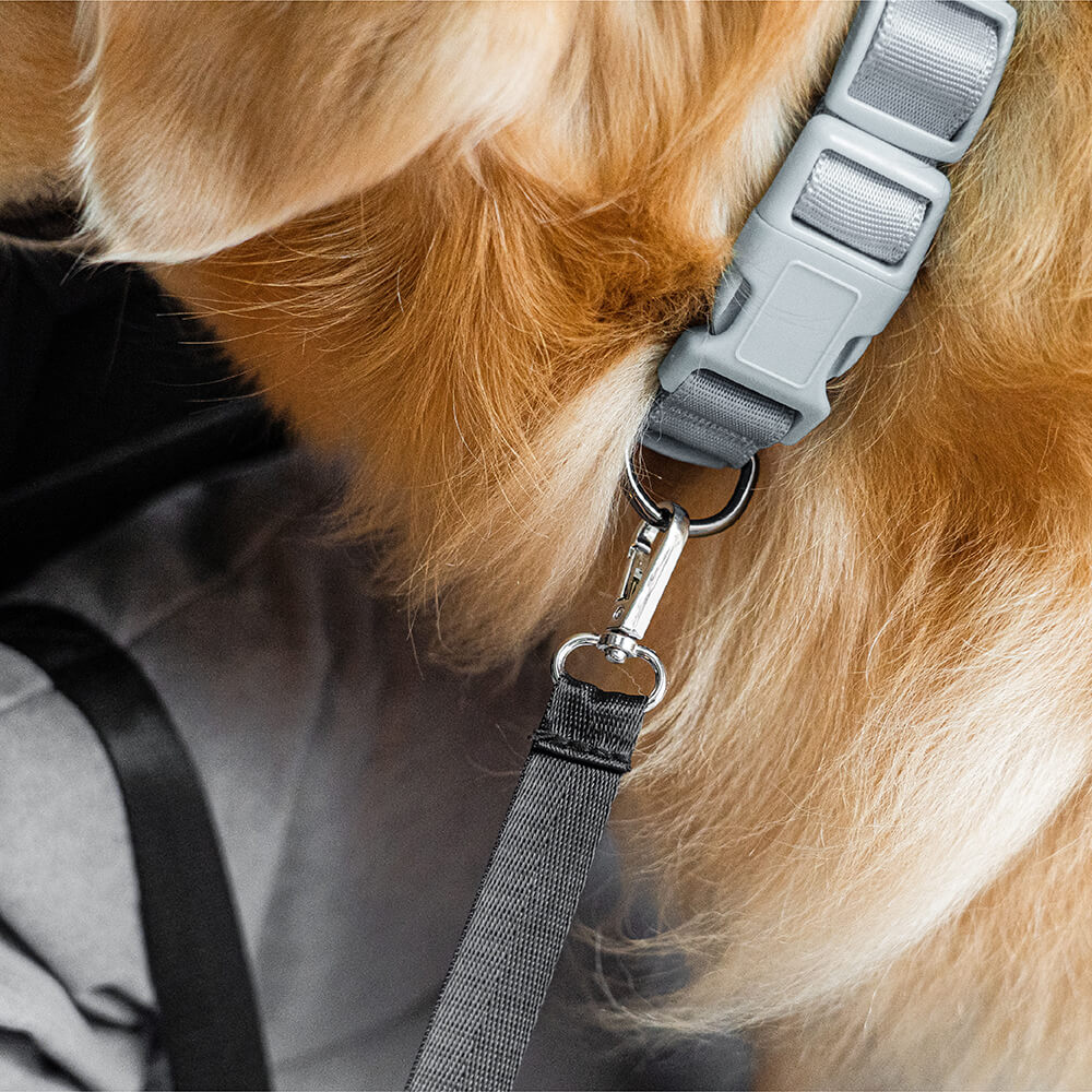 Camino de asiento trasero para perros para perros de seguridad para reflexionar a prueba de agua