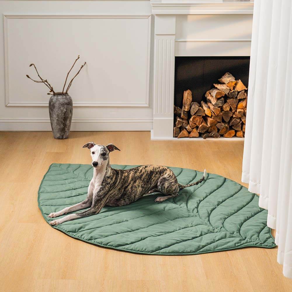 Forma súper grande de la hoja Mostora de perros humano