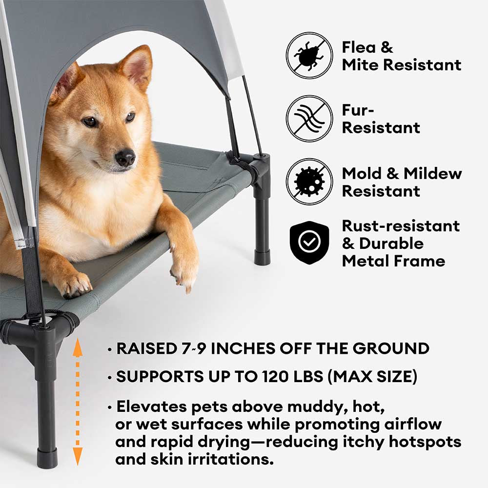 Cama de perros elevado de enfriamiento transpirable multifuncional con dosel - Pawair