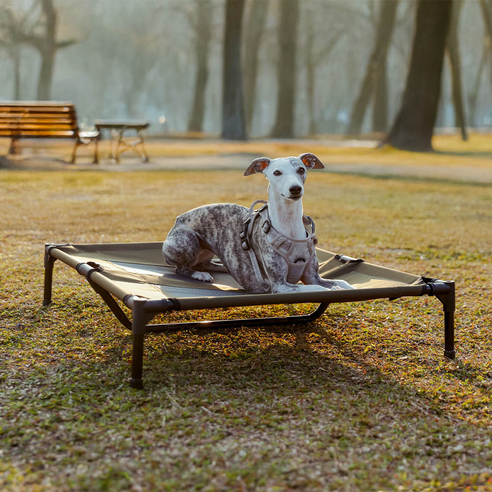 Cama de perros elevado de enfriamiento transpirable multifuncional con dosel - Pawair