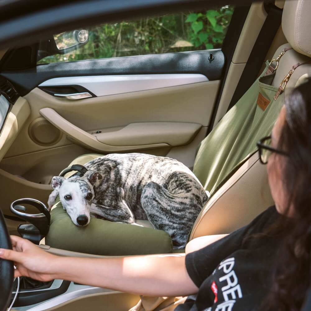 Travel Bolster Seguridad asiento trasero Bed de asiento para perros grandes - salón de ajedrez