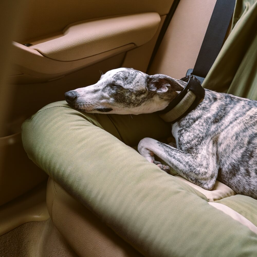 Travel Bolster Seguridad asiento trasero Bed de asiento para perros grandes - salón de ajedrez