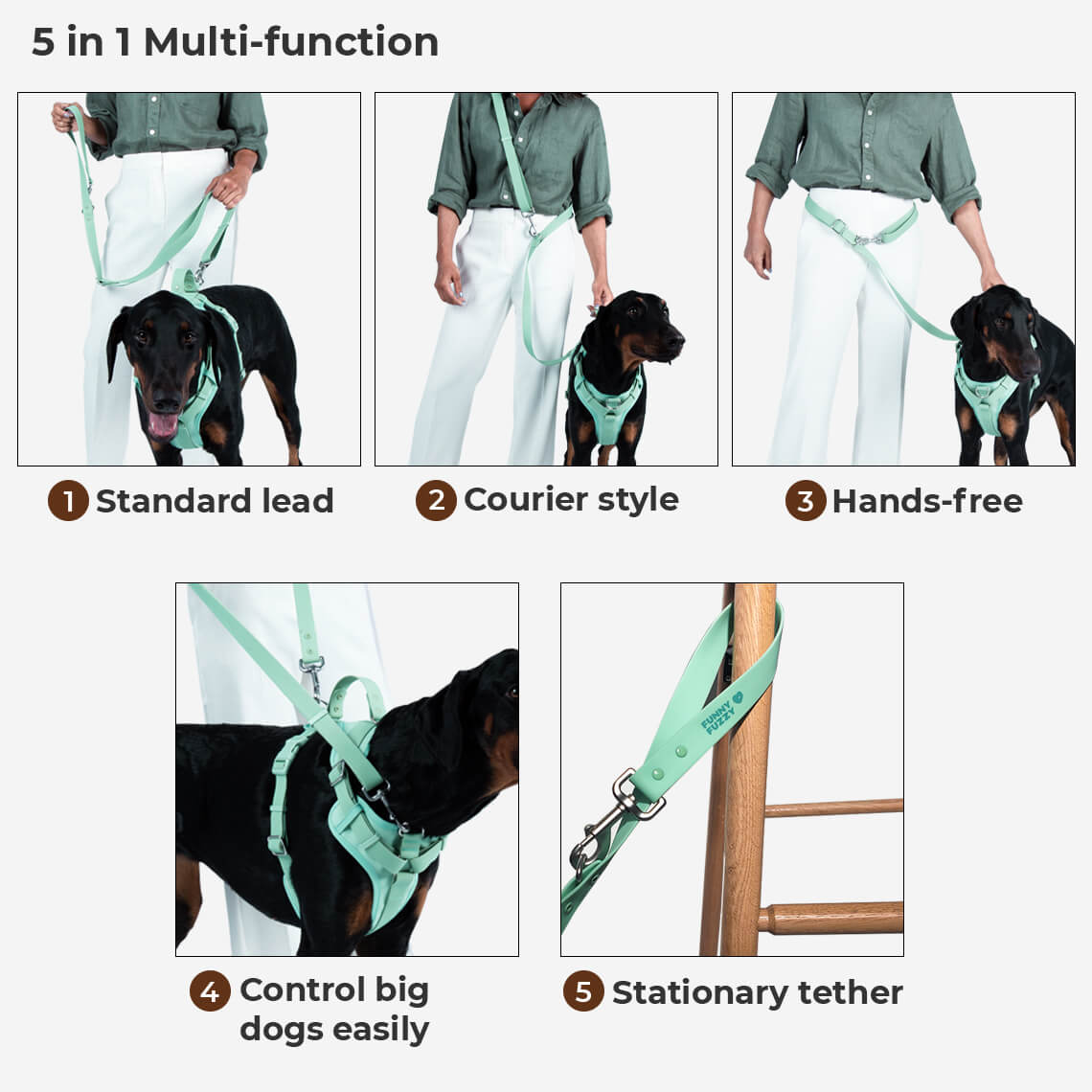 Accesorios para perros gummy cool set de caminata