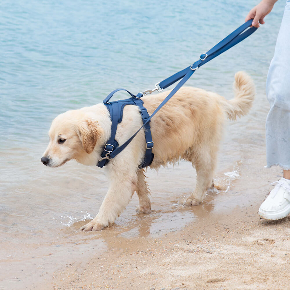 Accesorios para perros gummy cool set de caminata