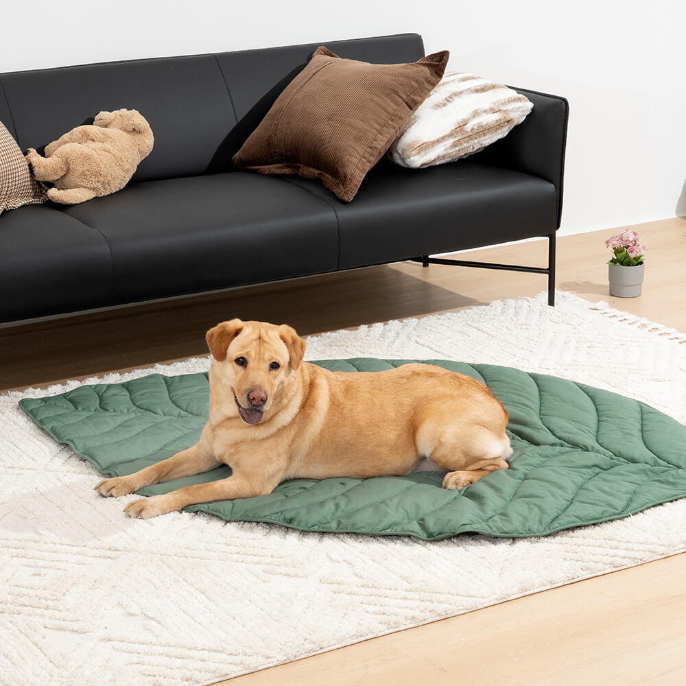 Forma súper grande de la hoja Mostora de perros humano