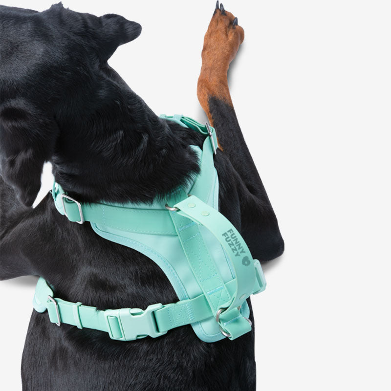 Accesorios para perros gummy cool set de caminata