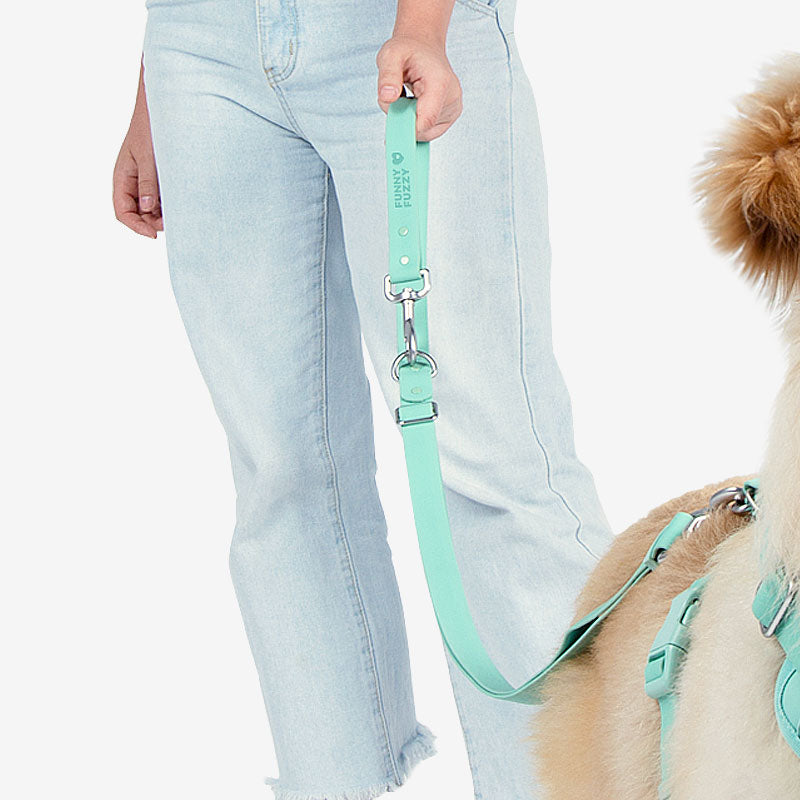 Accesorios para perros gummy cool set de caminata