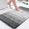 Thick Absorbent Non-Slip Quick-Dry Door Mat for Pets & Muddy Paws
