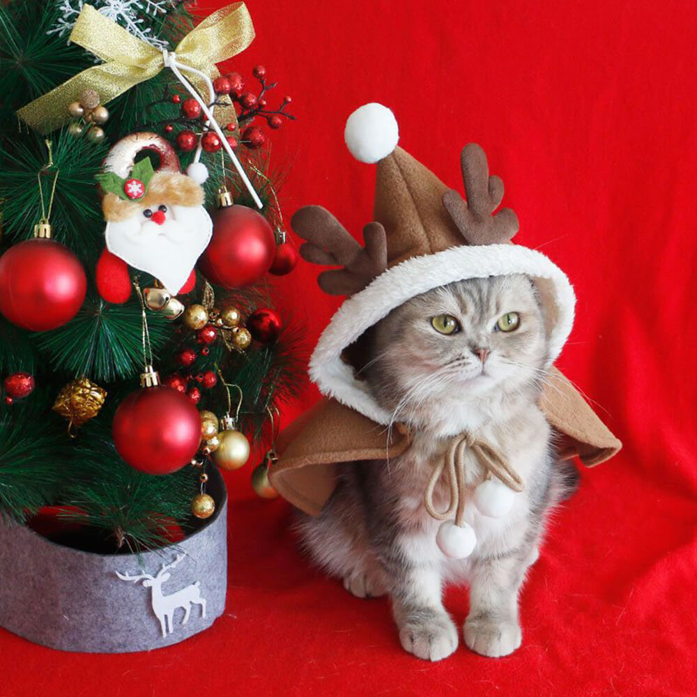 Navidad Chic Poncho de chal con capucha para perros y gatos con capucha