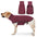 Posita para perros a prueba de viento y resistente al agua: ideal para perros grandes