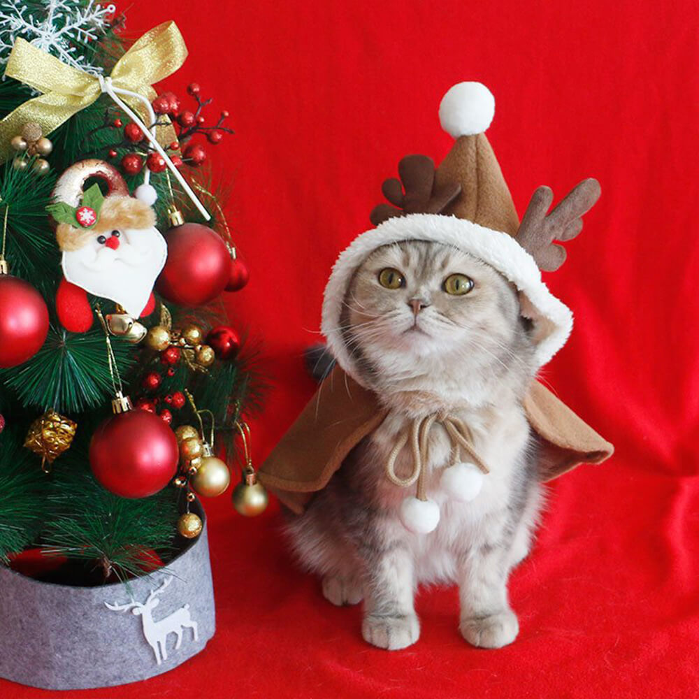 Navidad Chic Poncho de chal con capucha para perros y gatos con capucha