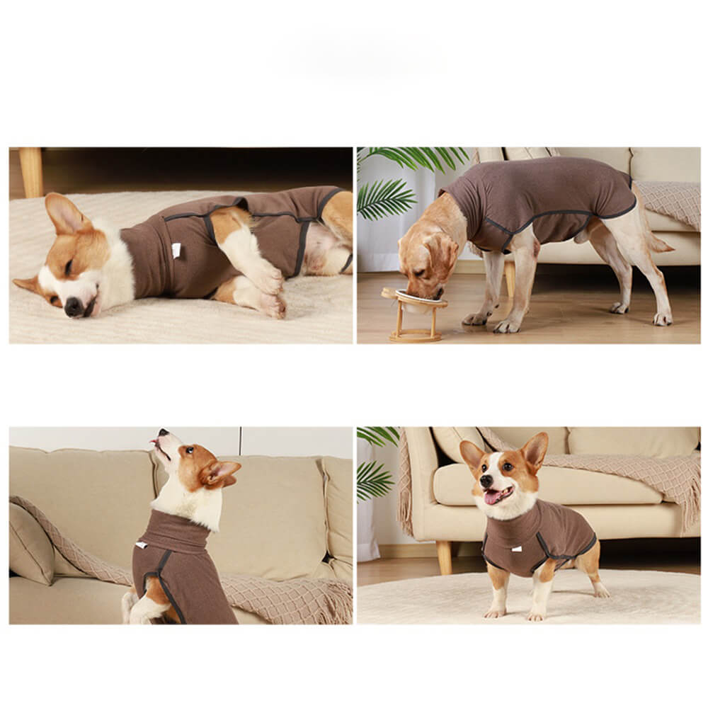Posita para perros a prueba de viento y resistente al agua: ideal para perros grandes