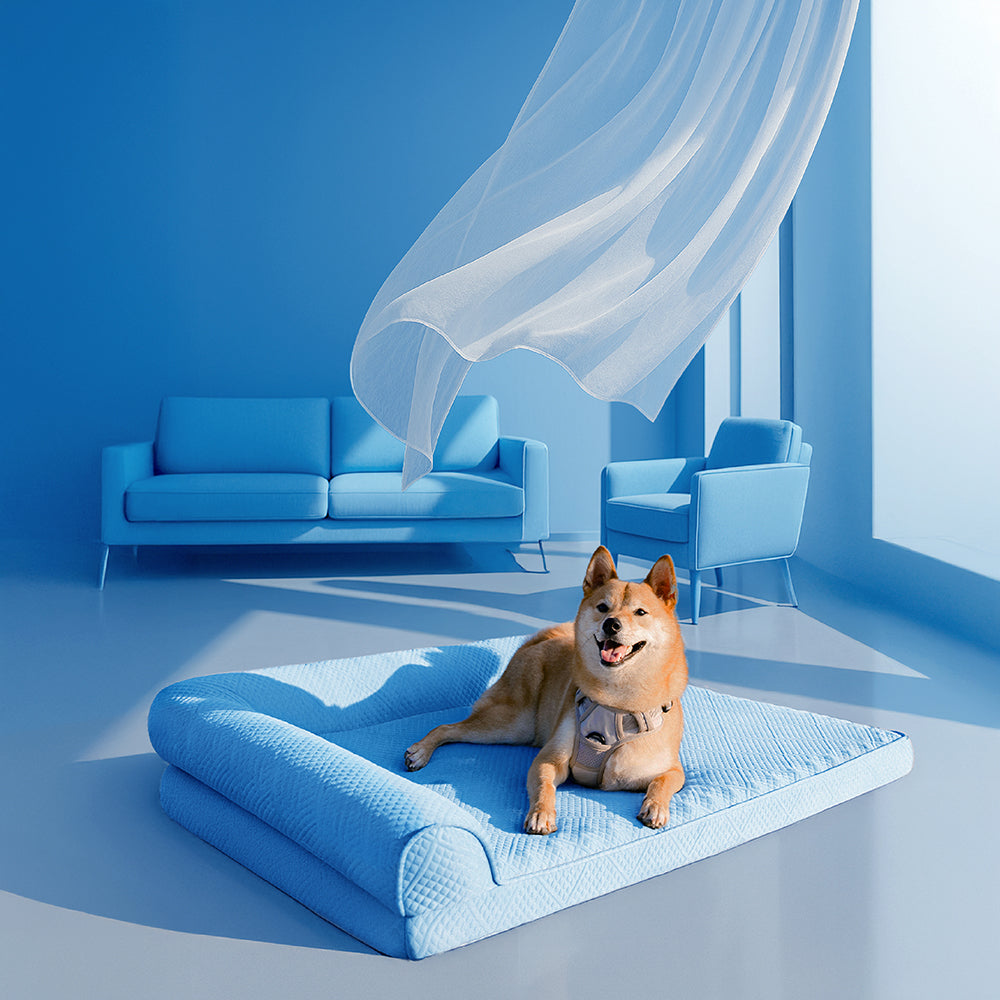 Cama de perro ortopédico sin deslizamiento sin deslizamiento de enfriamiento grande