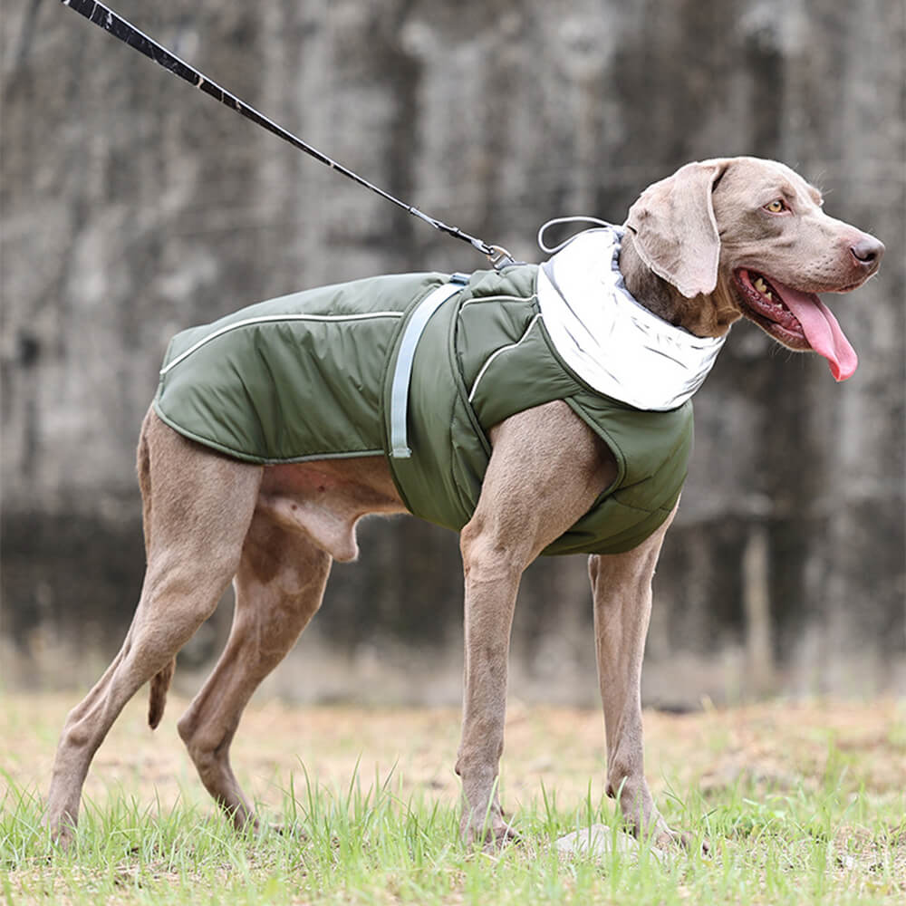 Chaqueta reflectante de perro caliente de cuello alto impermeable