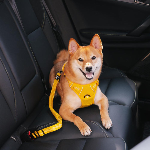 Car Seat Belt Buffer Adjustable Cool Dog Accessories