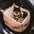 Travel Protection Booster Waterproof Elevated & Thickened Dog Car Seat Bed