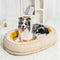Cama ortopédica fofa para cachorro donut
