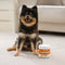 Dog Multivitamin Treats for Immune Health and Skin & Coat Support - 120 Count