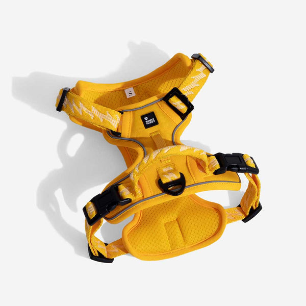 Funnyfuzzy reflectante mazo de perros al aire libre ajustable - Flexi Walker