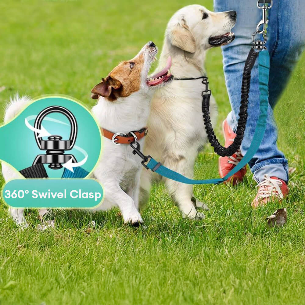 No-Tangle Shock Absorbing Double Lead Dog Leash