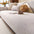 Chenille Minimalist Anti-Slip Fabric with Cat Scratch-Resistant Design Couch Cover