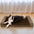 Faux Fleece & Suede Full Support Orthopedic Dog Bed