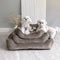 All-Season Cozy Durable Corduroy Dog Sofa Bed for Small & Medium Dogs