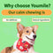Dog Calming Chews for Stress Relief & Separation Anxiety Support - 120 Count