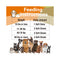 Dog Multivitamin Treats for Immune Health and Skin & Coat Support - 120 Count