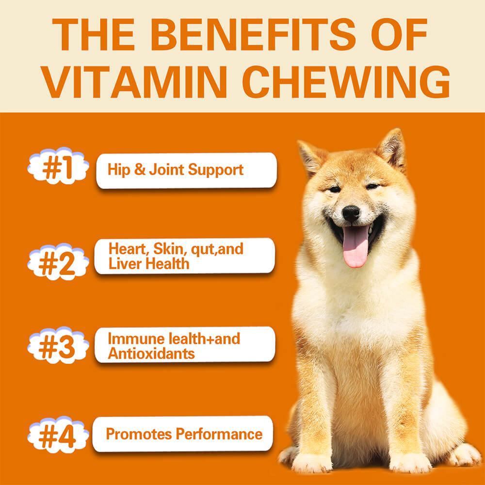 Dog Multivitamin Treats for Immune Health and Skin & Coat Support - 120 Count