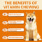 Dog Multivitamin Treats for Immune Health and Skin & Coat Support - 120 Count