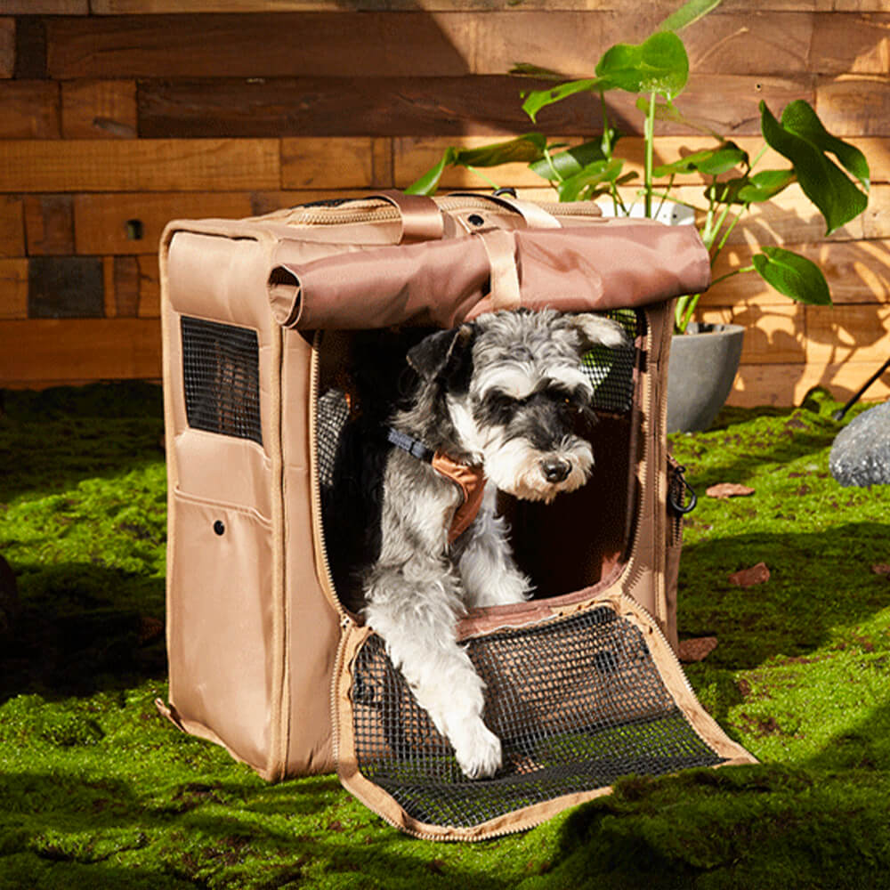 Mochila de mascotas de viaje impermeable a impermeable de Mesh de gran espacio transpirable
