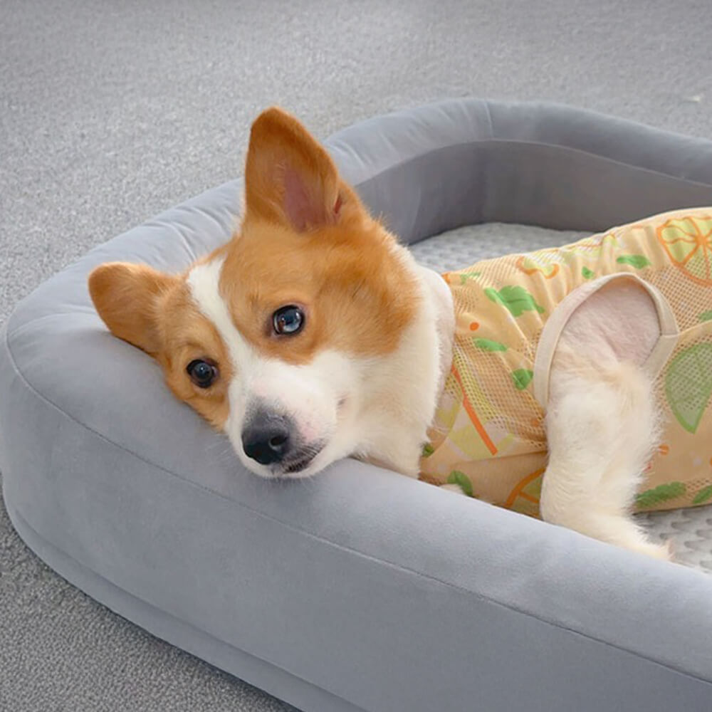 Cama para perros ovalado para toda la temporada de lavable para enfriamiento de enfriamiento suave
