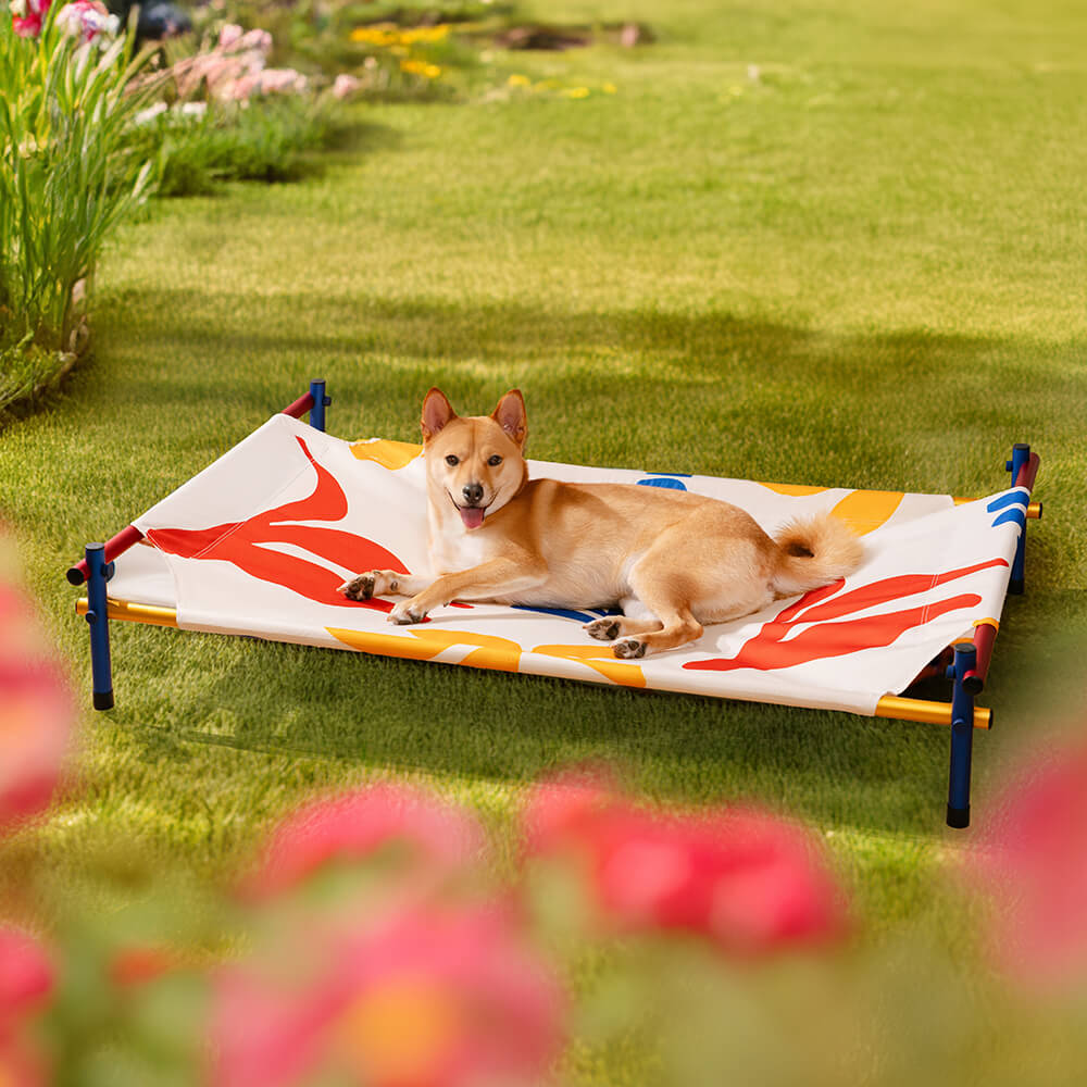 Erhöhtes Hundebett aus Aluminium im lebendigen Sommerdruck-Stil – Sommerparadies