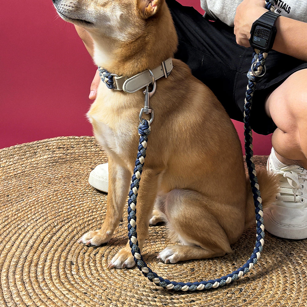 Ensemble collier et laisse pour chien anti-traction multifonctionnel en cuir tissé à la main