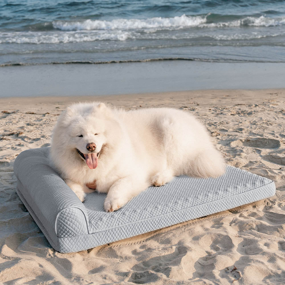 Cama de perro ortopédico sin deslizamiento sin deslizamiento de enfriamiento grande