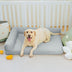 Cama de perro ortopédico sin deslizamiento sin deslizamiento de enfriamiento grande