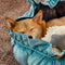 Lit pour chien apaisant et réglable inspiré de la nature - Nid en peluche